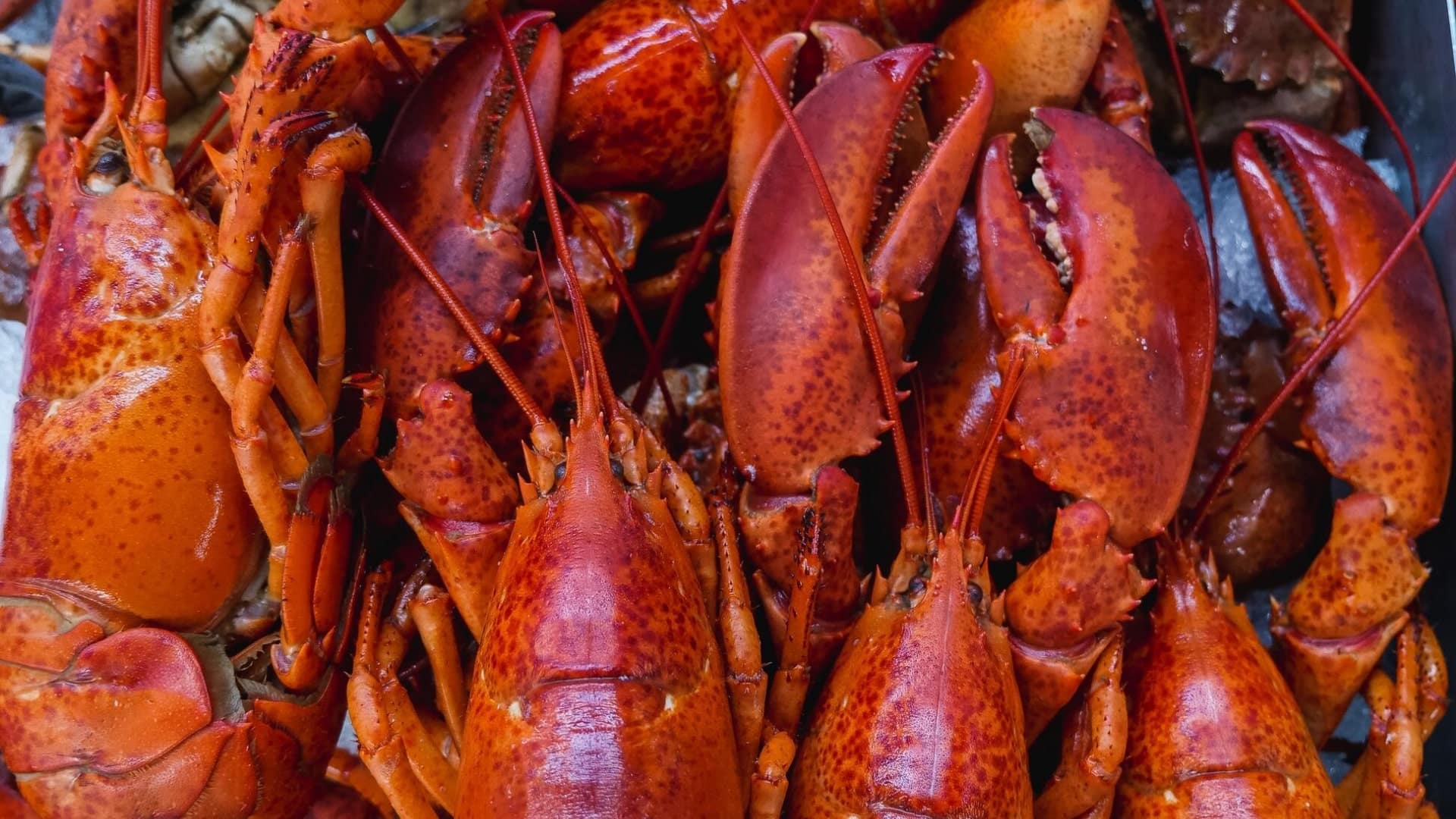 Fresh Seafood Retail Gateway Business Brokers